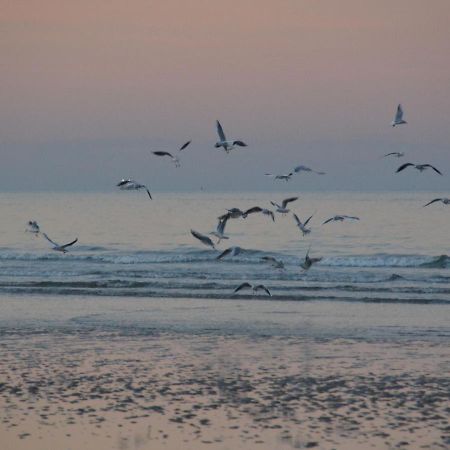 Holiday Home Omaha Beach With Garden Aignerville Экстерьер фото
